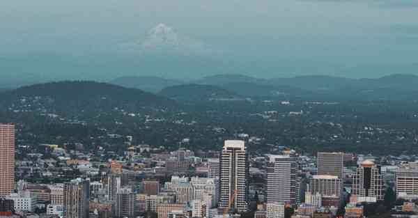 属马钱包颜色与财运：选择正确颜色提升个人气场与财富运势