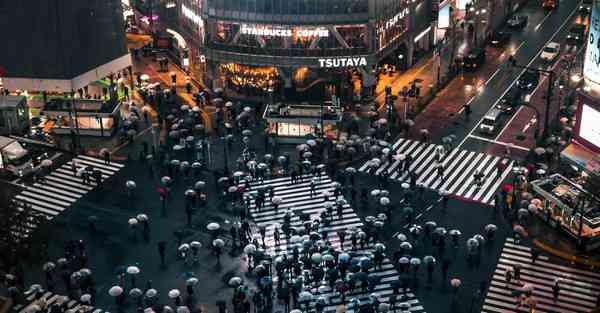 属鼠2025年7月24日运势,属鼠人2025年7月24日财运,生肖鼠2025年7月24日运势